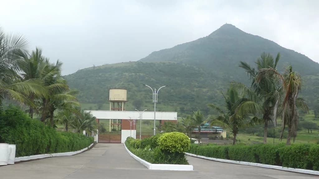 Walking Track
