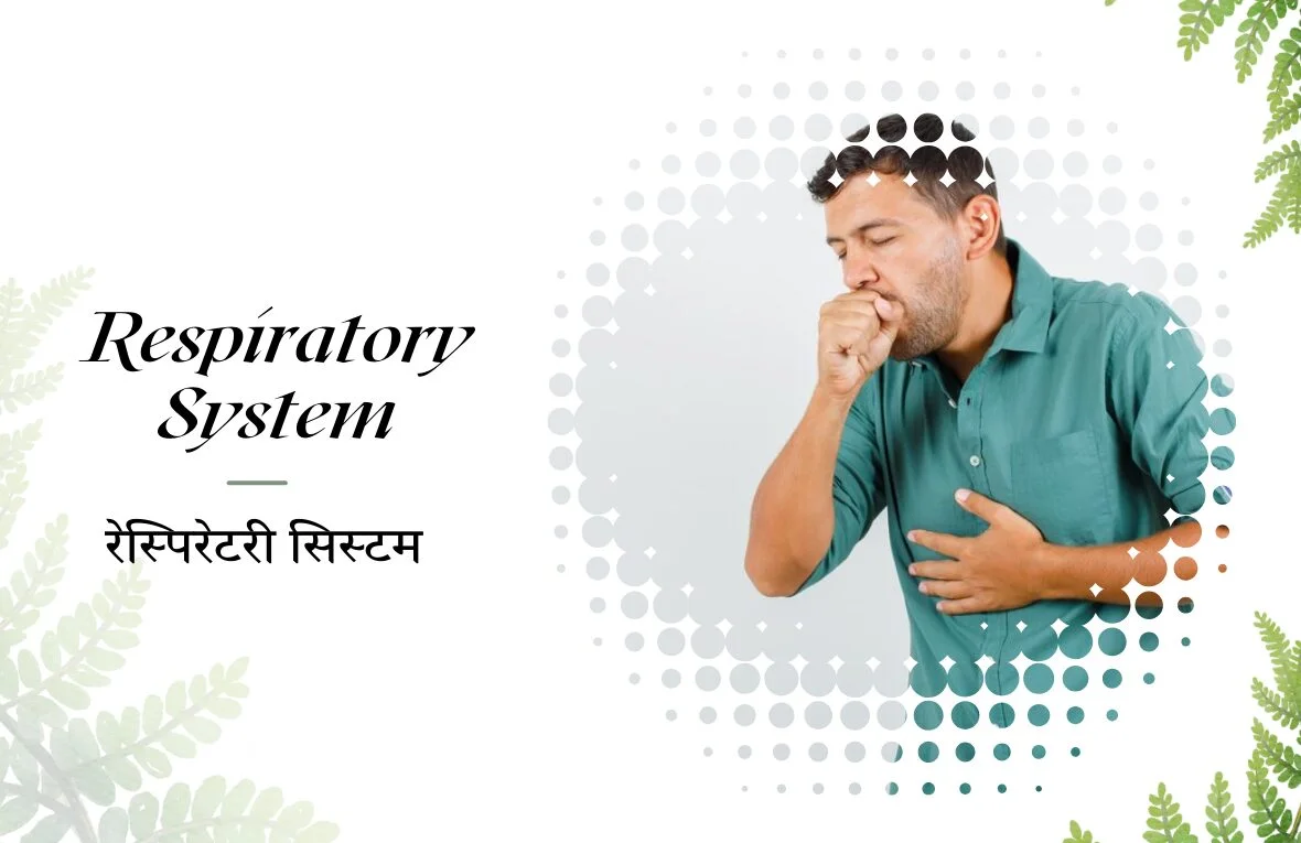 Respiratory System - Shree Narayandham